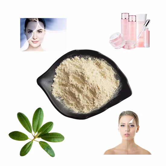 99% Hyaluronic Acid Powder, Low Molecular Weight, Moisturizing and Whitening, Top Cosmetic Ingredients Anti-Aging