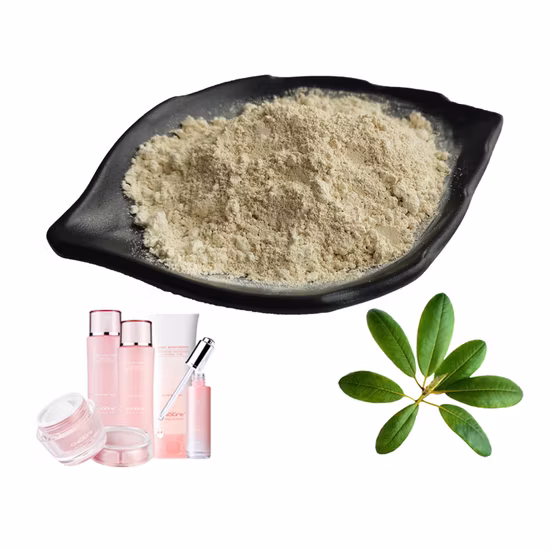 99% Hyaluronic Acid Powder, Low Molecular Weight, Moisturizing and Whitening, Top Cosmetic Ingredients Anti-Aging