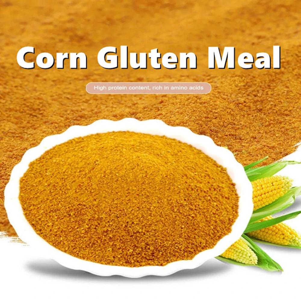 Corn Gluten Meal 60% for Animal Feed Pig/Fish/Horse/Cow Feed Additives