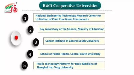 CAS 501-36-0 Natürliche kosmetische Inhaltsstoffe Resveratrol Anti-Aging Polygonum Cuspidatum