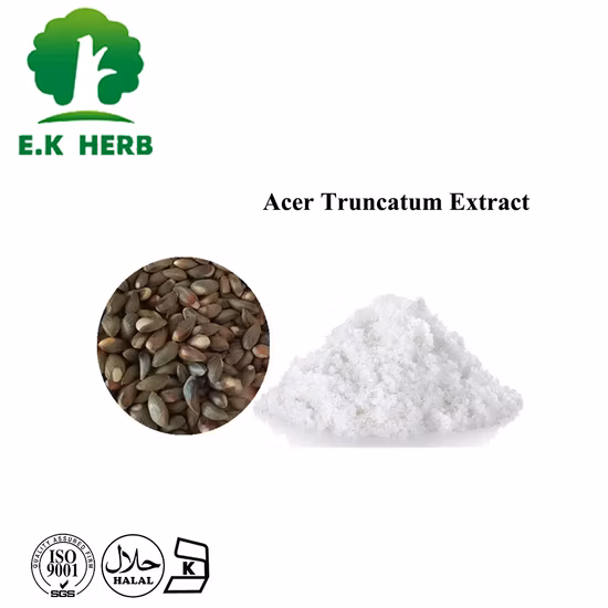 Nahrungsergänzungsmittel Nervonsäure-Pulver