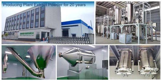 Bio-Nahrungsergänzungsmittel Kiefernpollen