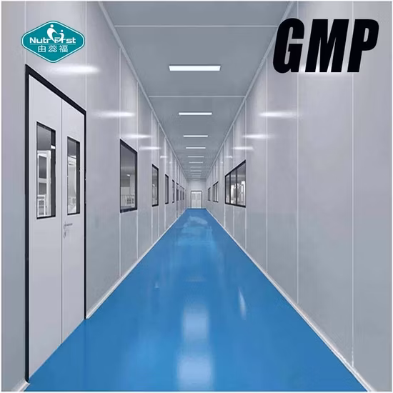 Nahrungsergänzungsmittel hochwertiger Lactobacillus Gasseri